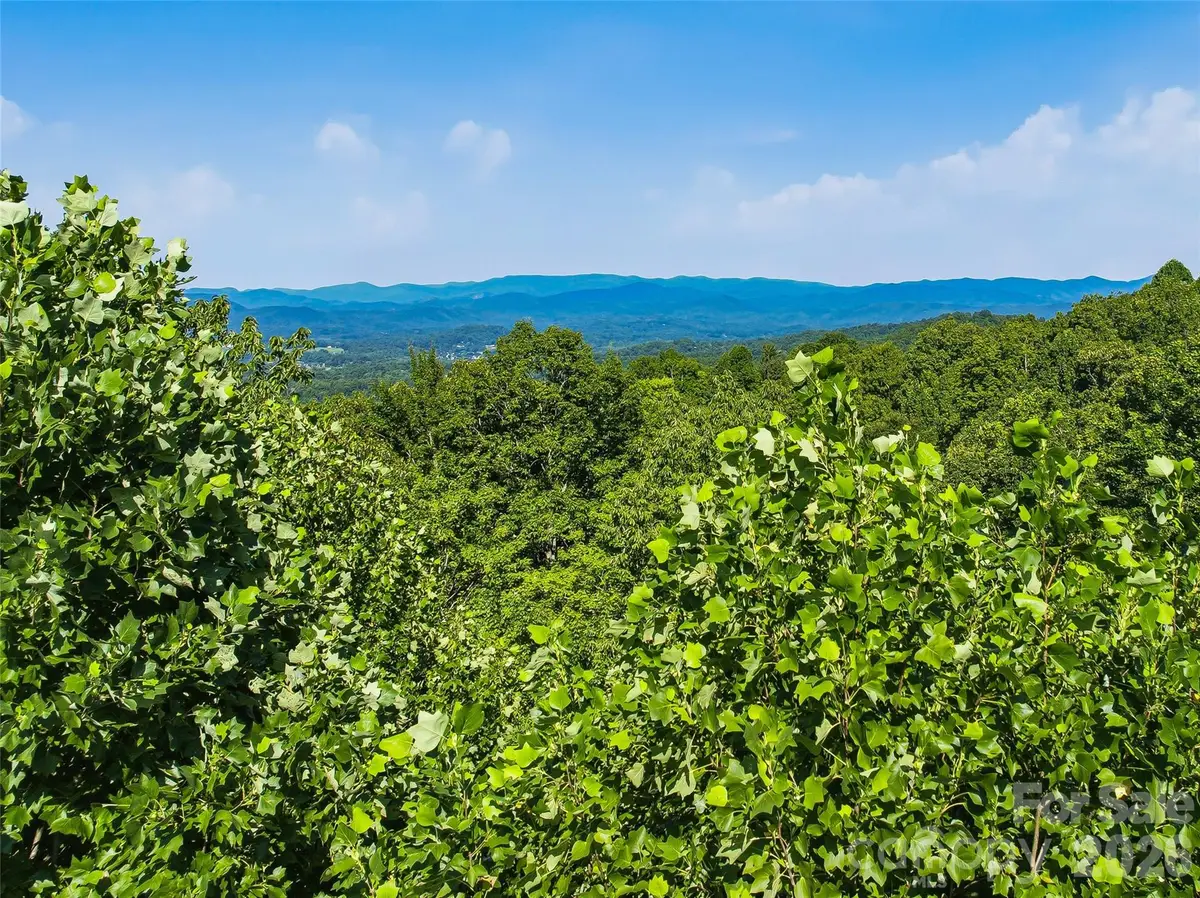 0000 Red Bud Lane #3-F, Laurel Park, NC 28739 - #1