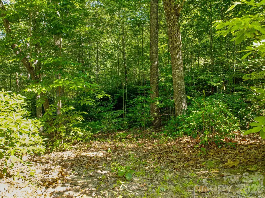 0000 Red Bud Lane #3-F, Laurel Park, NC 28739 - #3