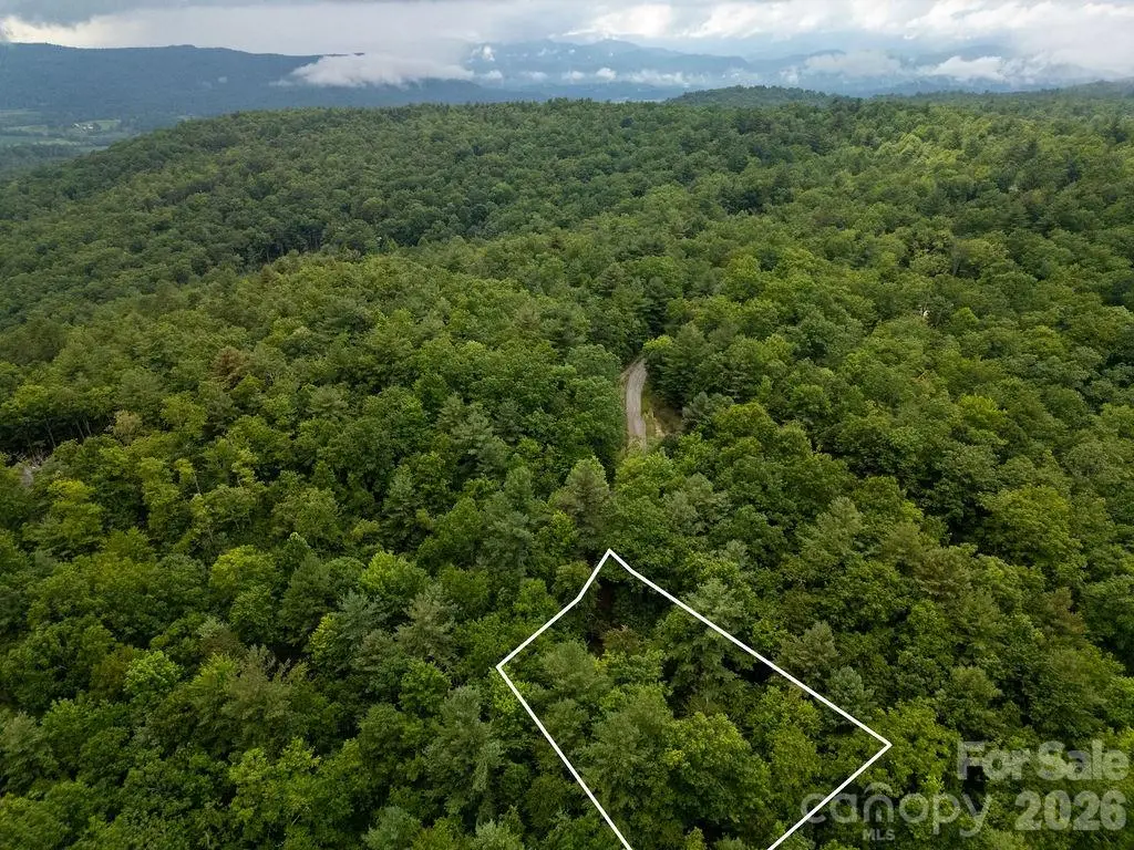 Lot 10 Emma Bri Lane #10, Hendersonville, NC 28739 - #1