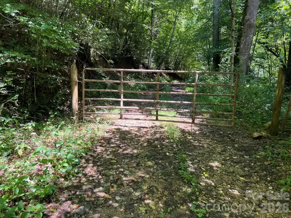 0 Old Johns River Road, Collettsville, NC 28611
