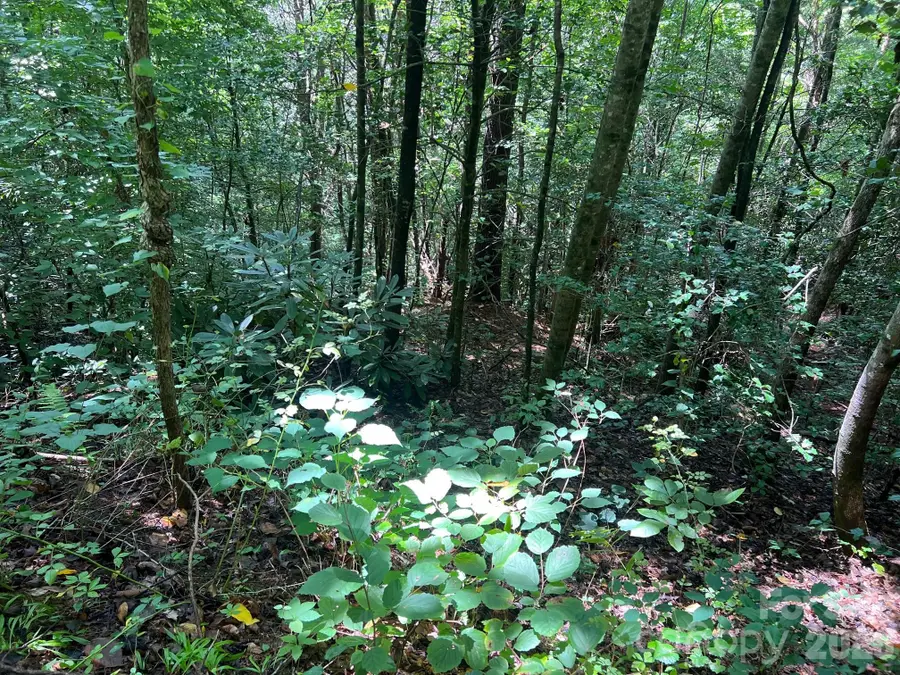 0 Old Johns River Road, Collettsville, NC 28611 - #3
