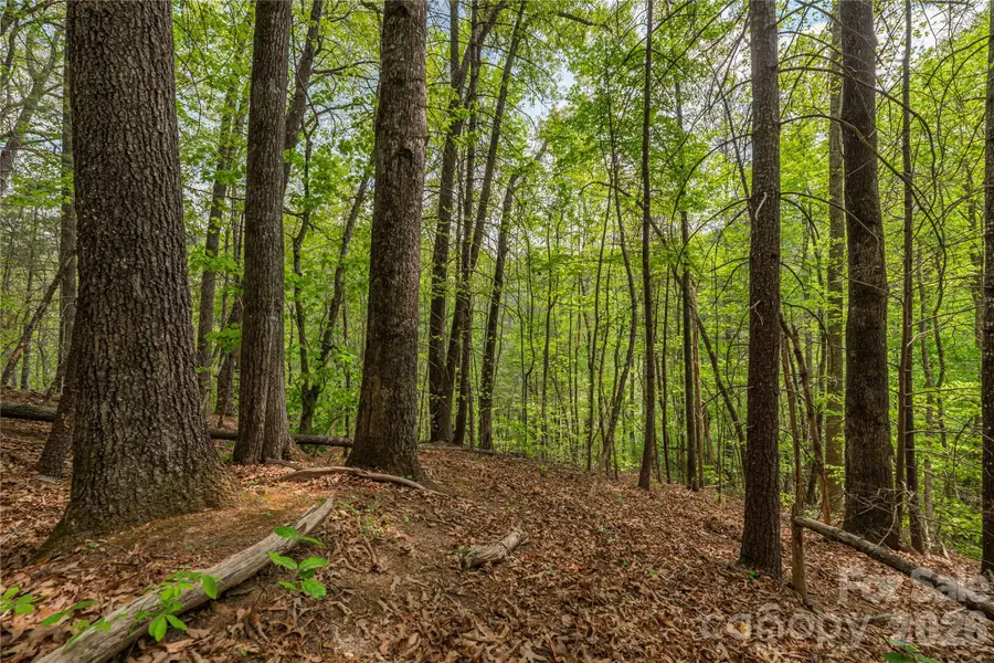 0000 Pressley Creek Road, Cullowhee, NC 28723 - #3
