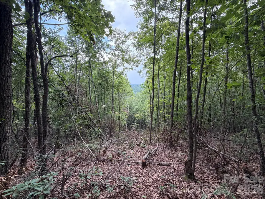 69 Idlewild Drive, Bostic, NC 28018 - #2
