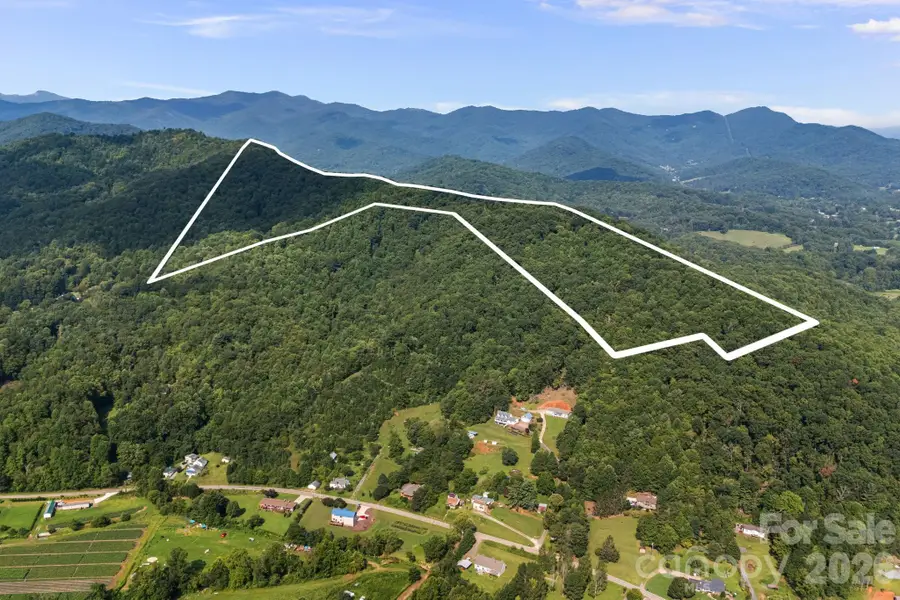 99999 Beaverdam Loop Road, Candler, NC 28715 - #3