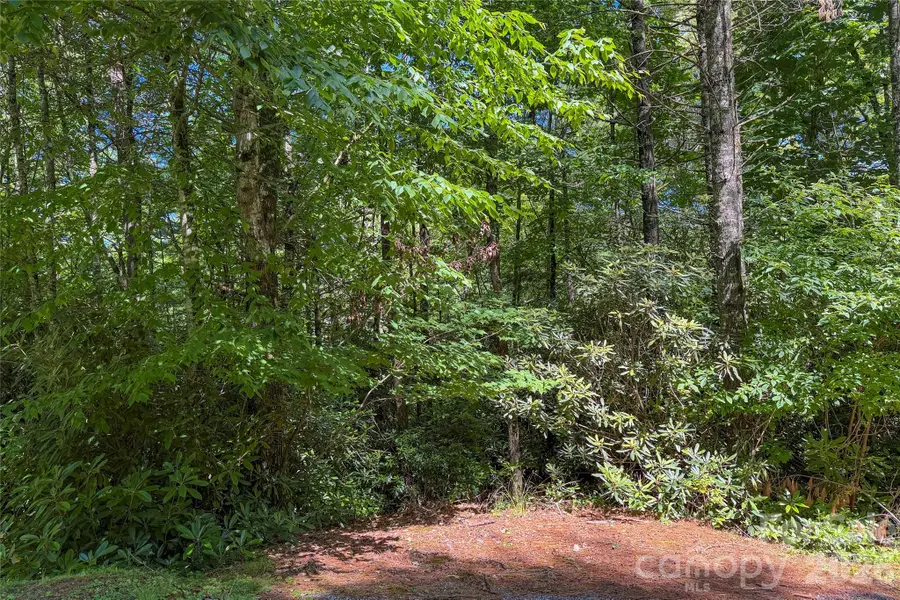 G24 Bailey Lane #G24, Sapphire, NC 28774 - #3