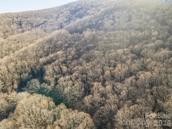 00 Wildflower Cove Road #18, Swannanoa, NC 28778