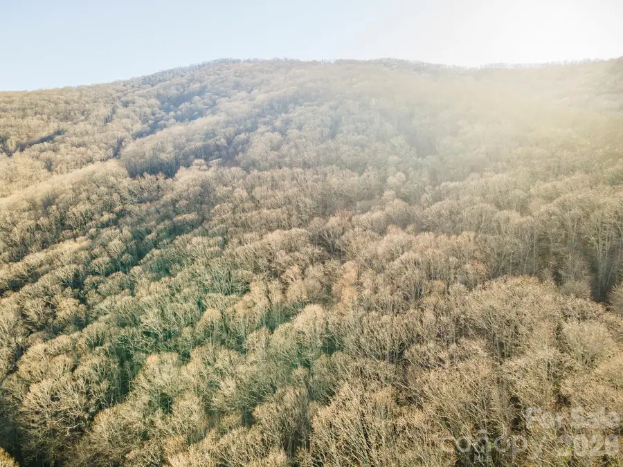 00 Wildflower Cove Road #18, Swannanoa, NC 28778 - #3