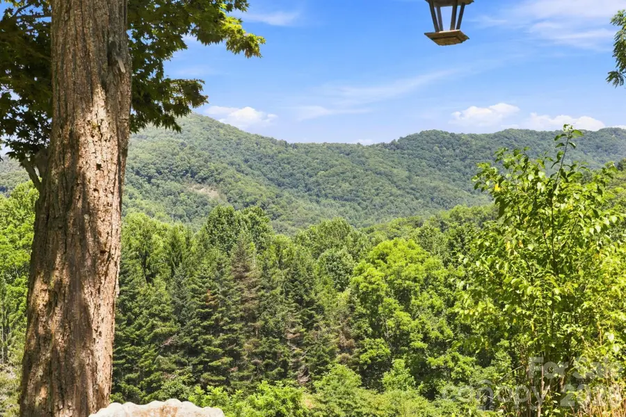 518 Nicholson Cove Road, Cullowhee, NC 28723 - #2