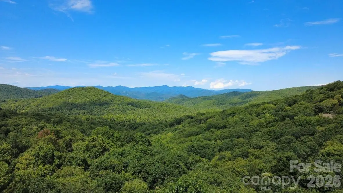 LT C28 Lodgepole Trail, Hamburg, NC 28739 - #1