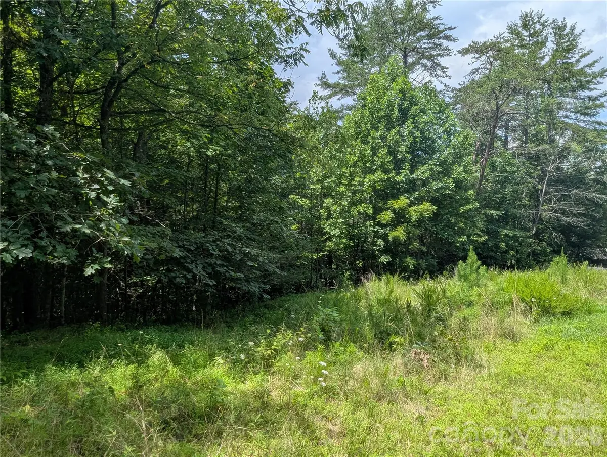 0 Austin Drive #13, Marshall, NC 28753 - #1