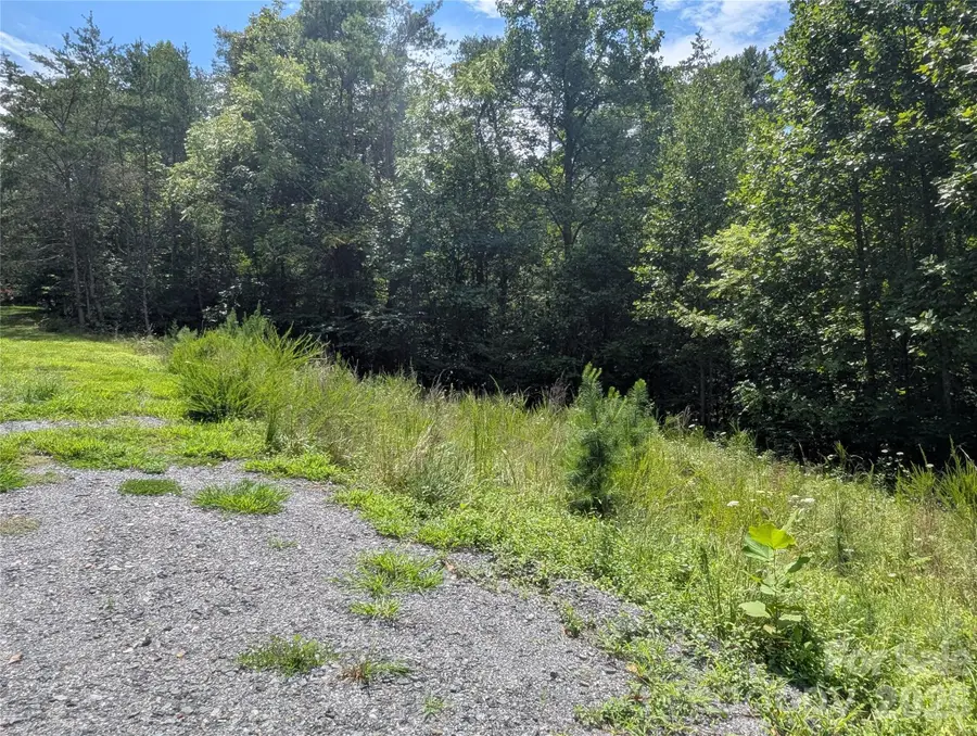 0 Austin Drive #13, Marshall, NC 28753 - #3