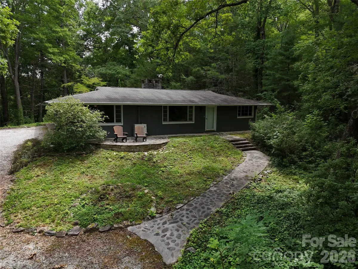 250 Luther Burbank Drive, Lake Lure, NC 28746 - #1