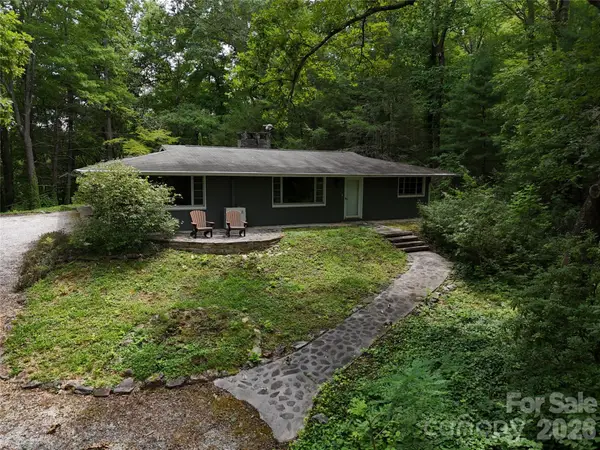 250 Luther Burbank Drive, Lake Lure, NC 28746