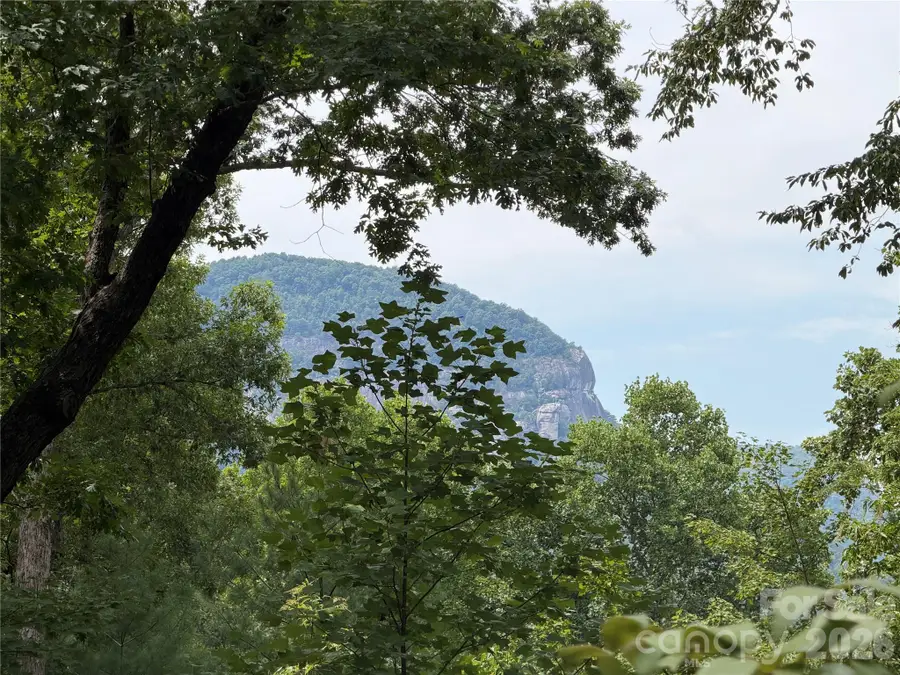 250 Luther Burbank Drive, Lake Lure, NC 28746 - #2