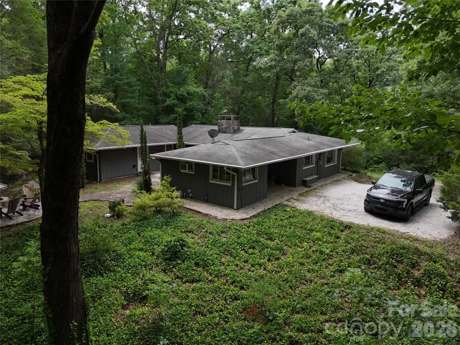 250 Luther Burbank Drive, Lake Lure, NC 28746 - #3