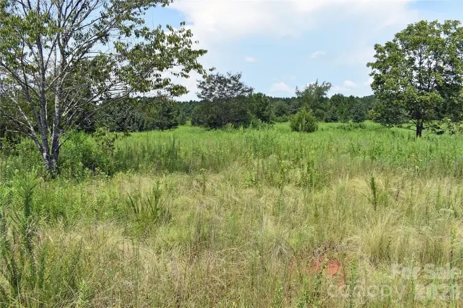 60 Malden Court, Crouse, NC 28033 - #2