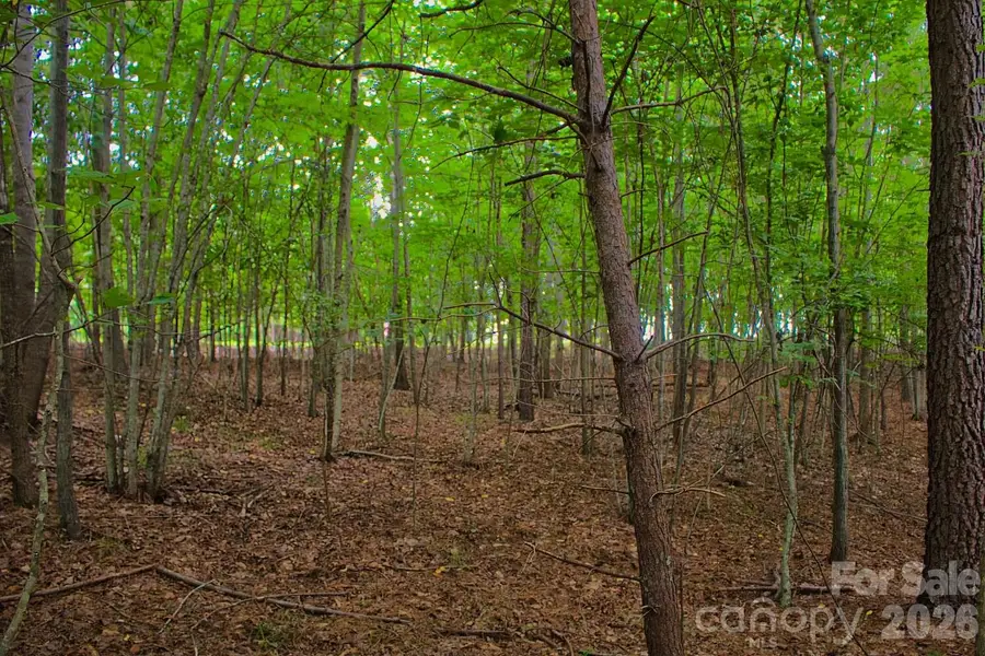 0 Creekside Circle #110, Rutherfordton, NC 28139 - #2