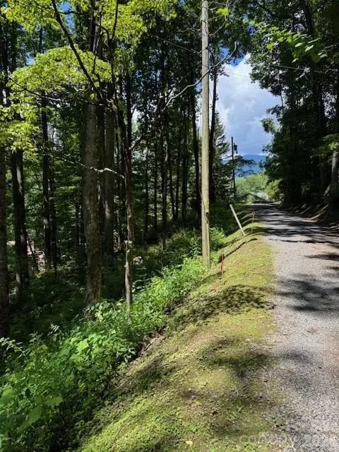 Lot 49 Rocky Ridge Road #49, Balsam, NC 28707 - #2