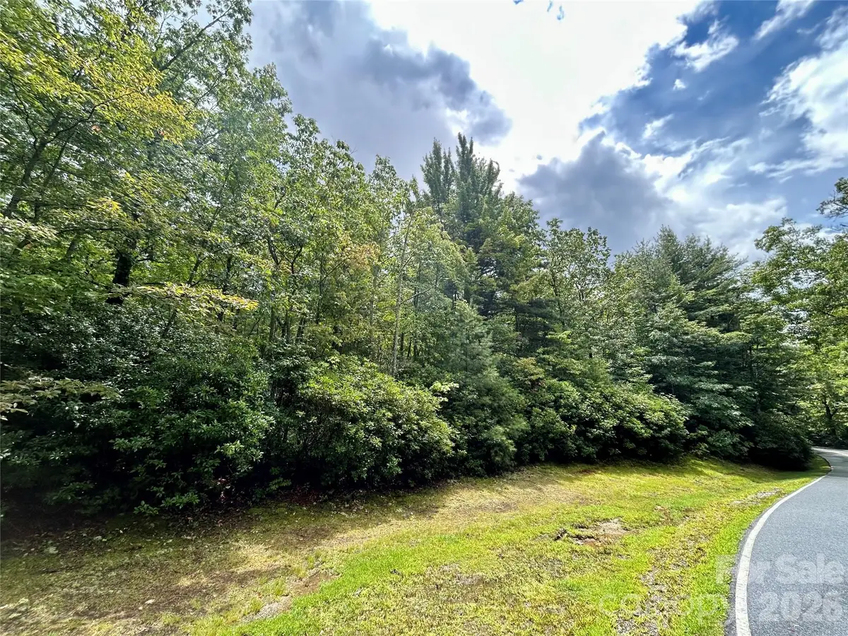Lot 40 Hawk Mountain Road, Lake Toxaway, NC 28747 - #1