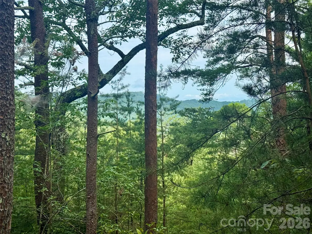 V/L Tahawus Drive #92, Bostic, NC 28018 - #1