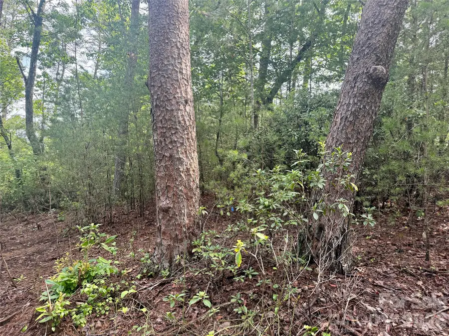 V/L Tahawus Drive #92, Bostic, NC 28018 - #3