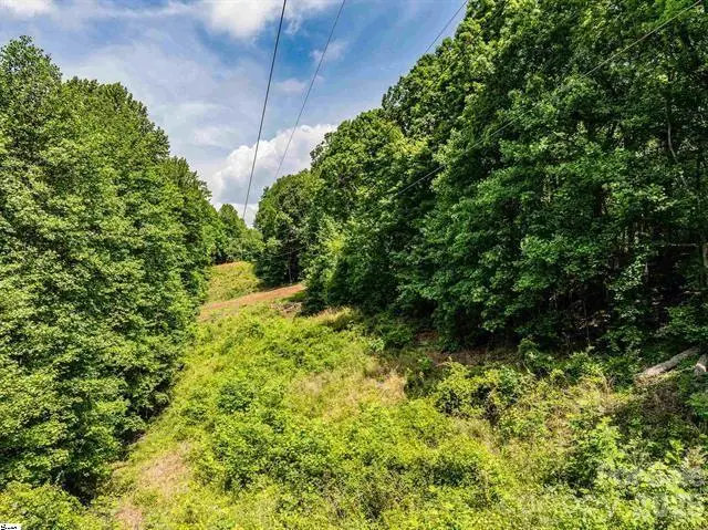 67 Wildflower Lane, Travelers Rest, SC 29690 - #2