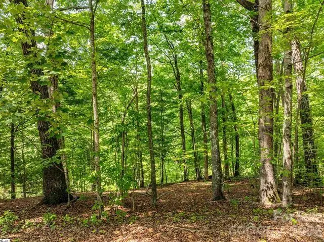 67 Wildflower Lane, Travelers Rest, SC 29690 - #3