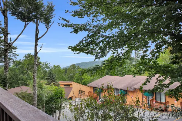 119 Beechwood Lane, Beech Mountain, NC 28604