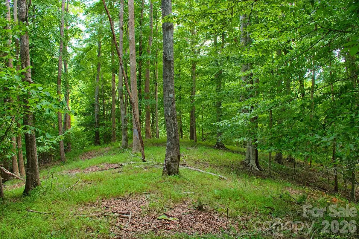 0 Cross Creek Drive #136+136A, Rutherfordton, NC 28139 - #1