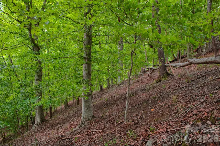 0 Cross Creek Drive #136+136A, Rutherfordton, NC 28139 - #3