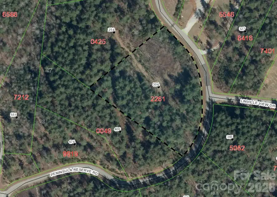 TBD Peninsula Reserve Drive #27, Nebo, NC 28761 - #2