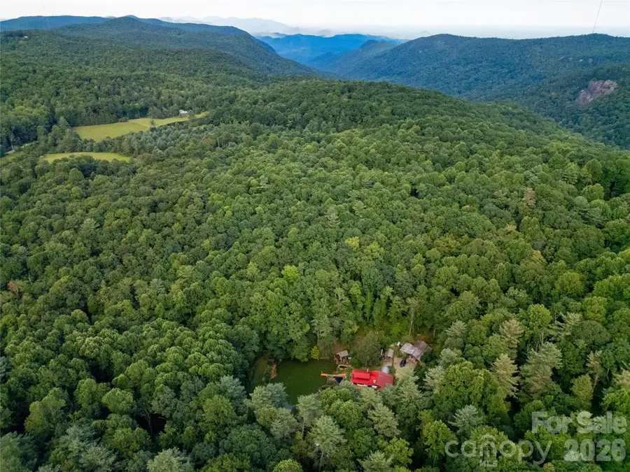 87 Old Chimney Lane, Cedar Mountain, NC 28718 - #3