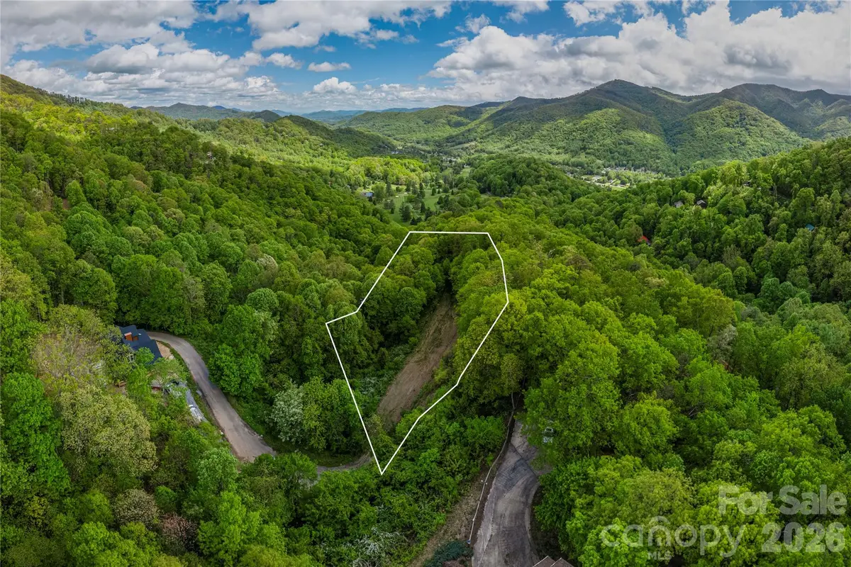 391 Valley View Drive, Maggie Valley, NC 28751 - #1