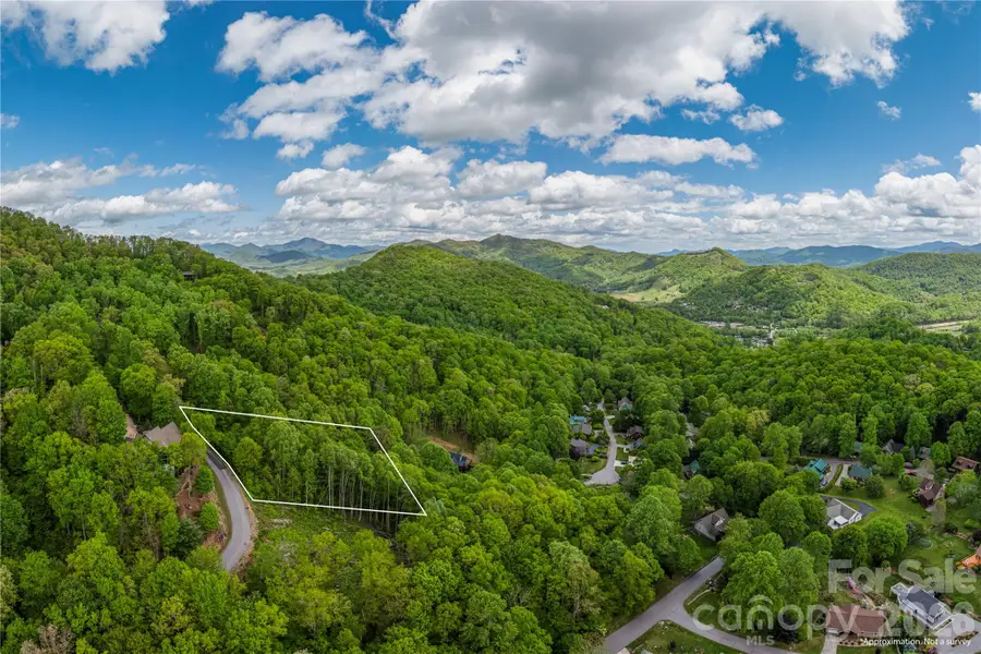 391 Valley View Drive, Maggie Valley, NC 28751 - #3