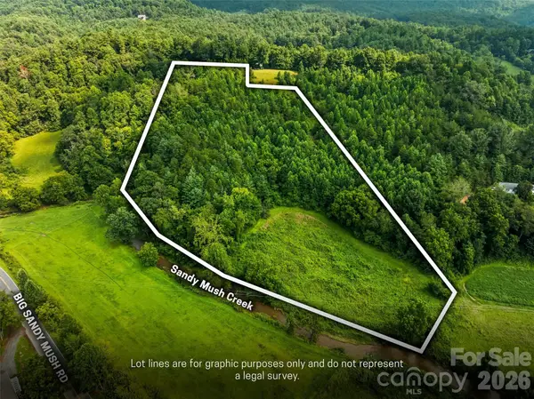 99999 Big Sandy Mush Road, Leicester, NC 28748