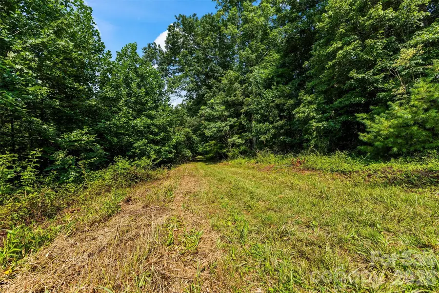 99999 Big Sandy Mush Road, Leicester, NC 28748 - #2