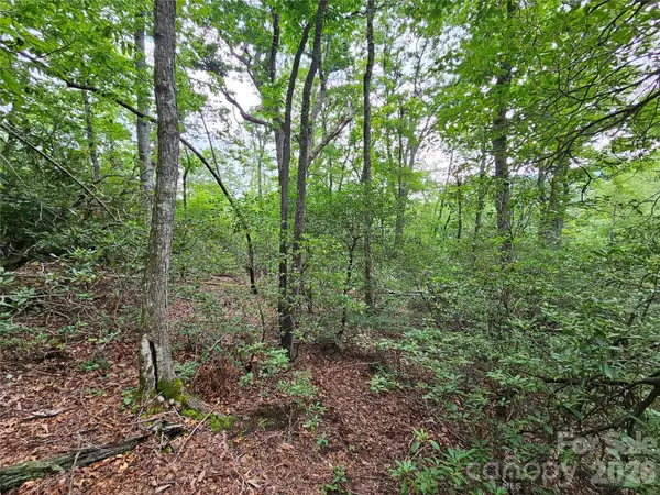 98 Down To Earth Drive #98, Burnsville, NC 28714
