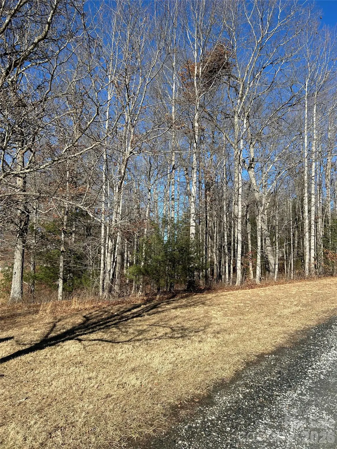 TBD Bear Den Road #23, Sparta, NC 28675 - #1