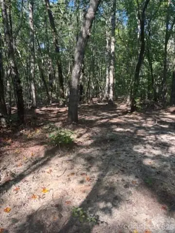 TBD Bud Arndt Road, Maiden, NC 28650 - #1