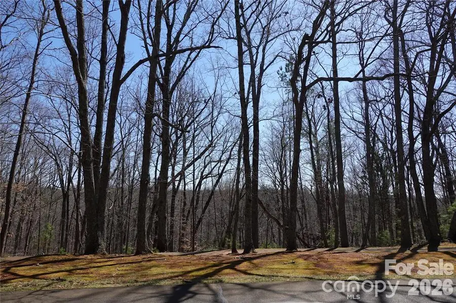 14427 Roe Buck Meadow Lane, Charlotte, NC 28278 - #3