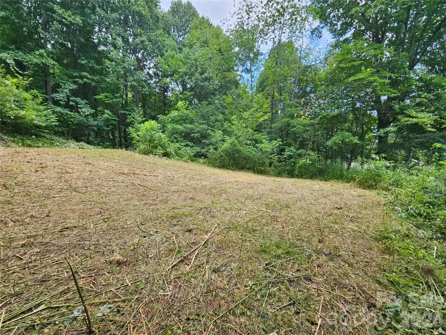 638 Crystal Tree Drive, Waynesville, NC 28785 - #3