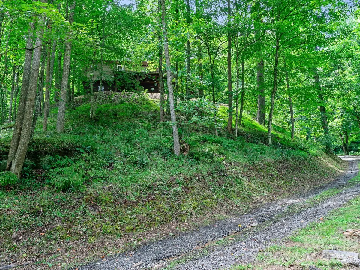 9851 Double Island Road, Green Mountain, NC 28740 - #1