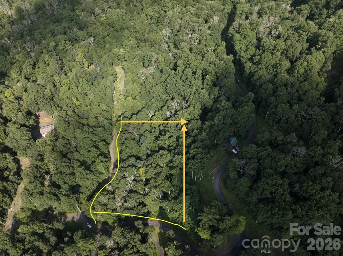 TBD Ali Avenue #5, Bakersville, NC 28705 - #1