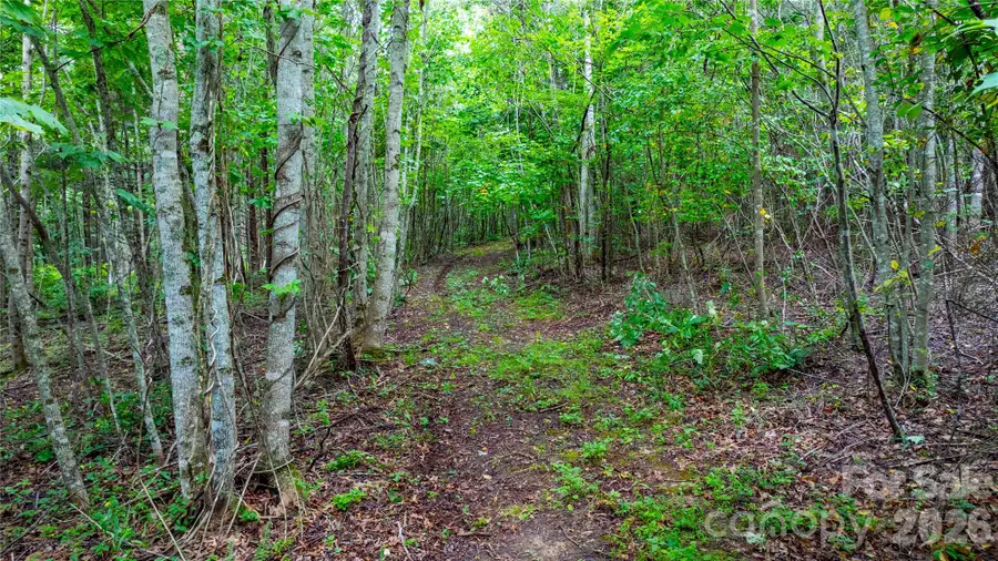 99999 Bob Barnwell Road, Fletcher, NC 28732 - #3