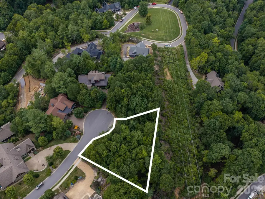 15 Panther Gap Road #116, Black Mountain, NC 28711 - #3