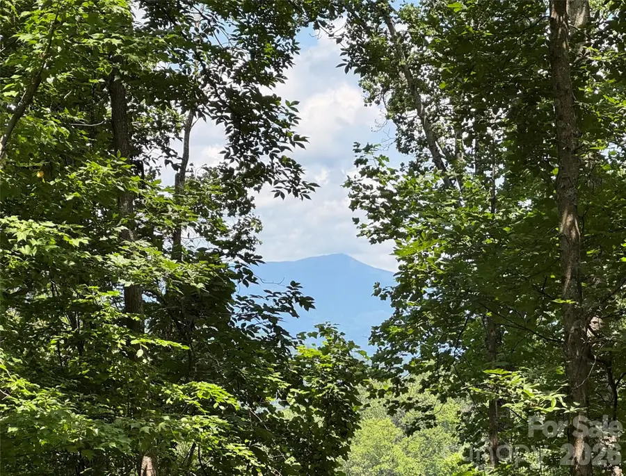 97 High Hickory Trail #2, Swannanoa, NC 28778 - #2