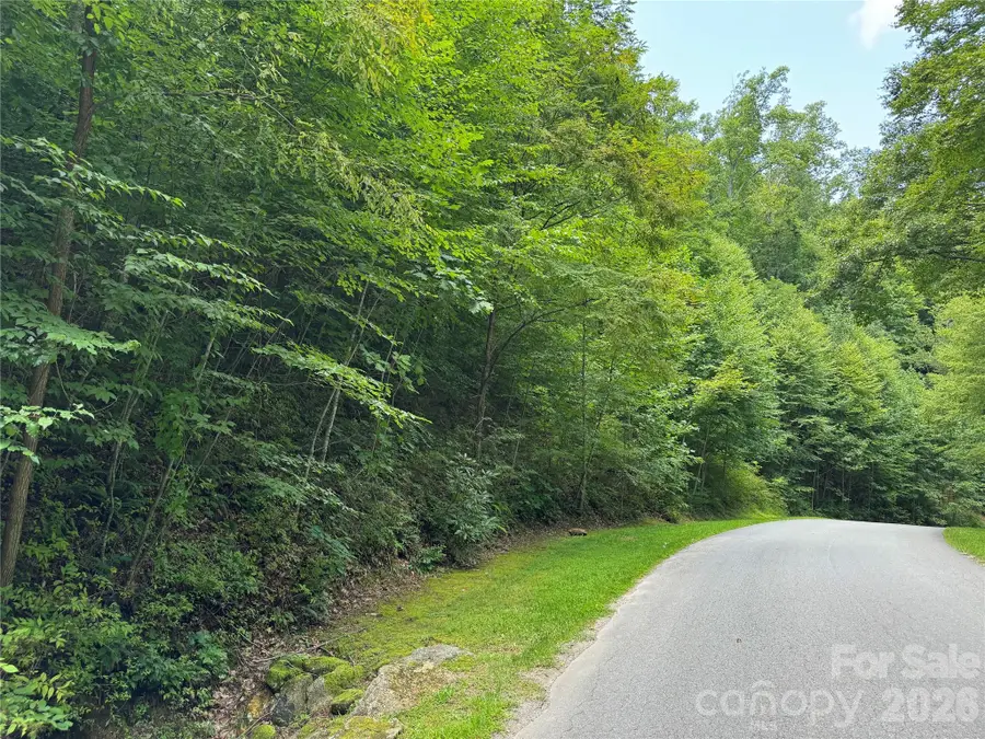 97 High Hickory Trail #2, Swannanoa, NC 28778 - #3