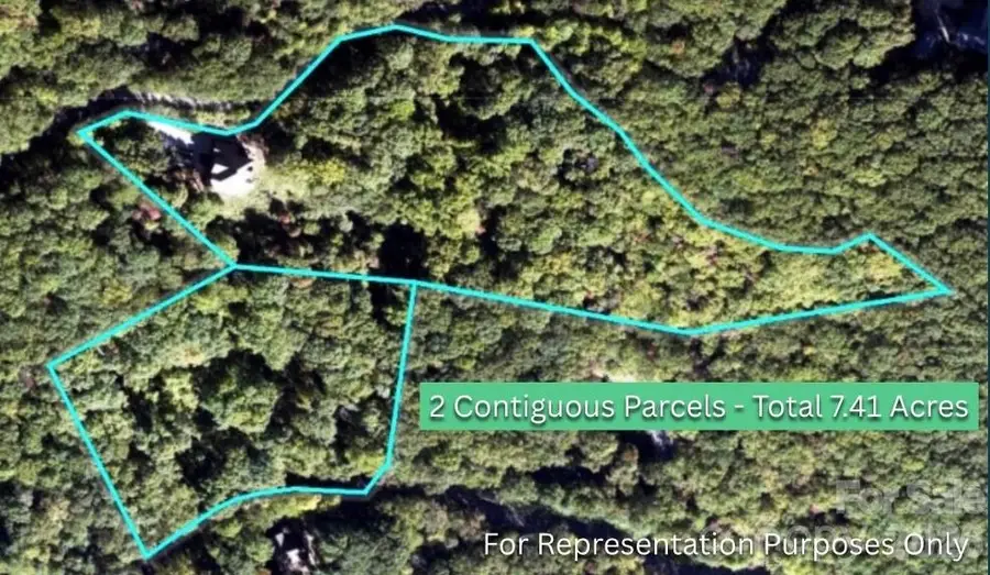 69 Rock Springs Road, Fairview, NC 28730 - #2