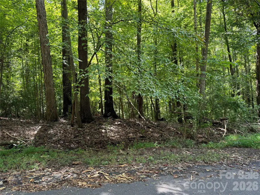 .99 acres Hwy 321 Bypass, York, SC 29745 - #3