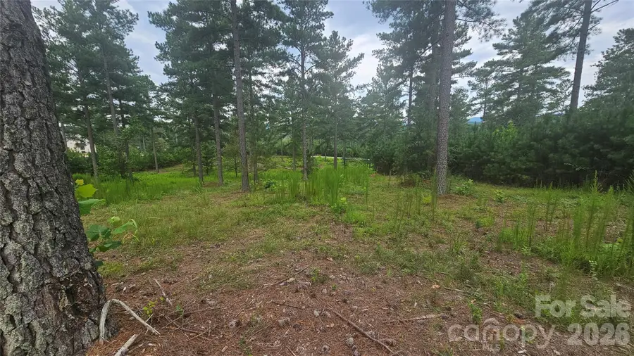 1884 Coveside Drive, Granite Falls, NC 28630 - #3